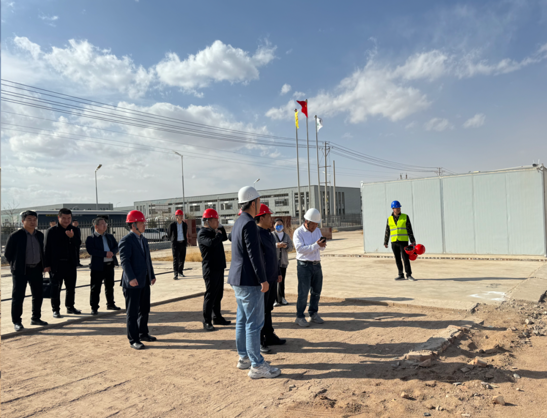 全力复工！金昌市委副书记、市长王方太一行调研金昌致信项目